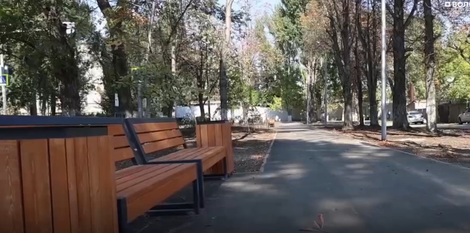 Володин рассказал о планах по созданию парков и скверов в Саратове в 2026 году